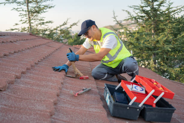 Quick and Trustworthy Emergency Roof Repair Services in Thonotosassa, FL