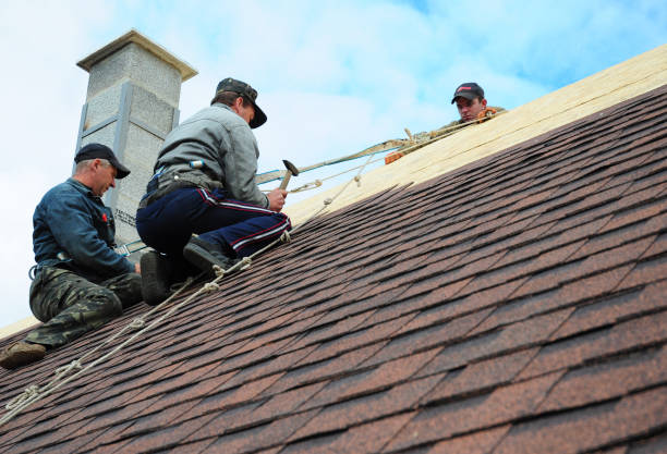 Best Residential Roofing Contractor  in Thonotosassa, FL